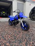 Yamaha PW50