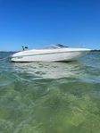 Wellcraft  18sl daycruiser 