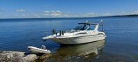 Sea Ray 280 Sundancer