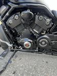 Harley Davidson VRSCDX Night Rod Special