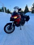 Ducati multistrada 950