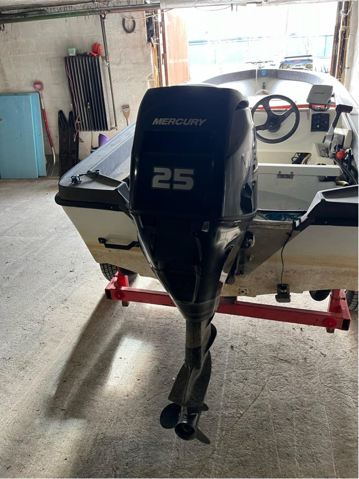 Mercury 25 ELPT