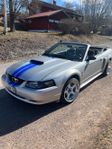 Ford Mustang GT V8 Convertible 