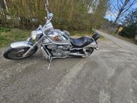 Harley Davidson V-rod V Rod Vrsca 100th Anniversary