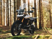 Triumph Tiger 900 Rally Pro -22