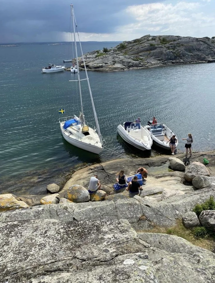 Albin 79 till salu image