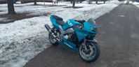 zx9r