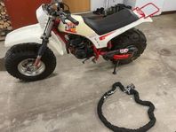 Big Wheel 200