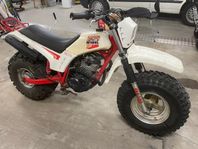 Big Wheel 200