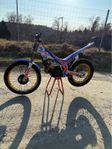 Beta evo factory trial