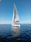 Arcona 355