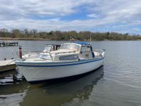 Albin 25