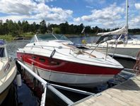 Wellcraft 255 Suncruiser