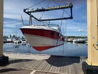 Wellcraft 255 Suncruiser