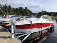 Wellcraft 255 Suncruiser