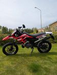 Derbi Senda Xtreme 50 sm 2020