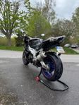 Aprilia RSV 1000R Tuono -07