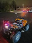 SMC 250 ATV Fyrhjuling LÅGMILARE