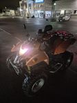 SMC 250 ATV Fyrhjuling LÅGMILARE