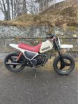 Yamaha PW50