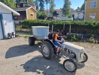 fergusson grålle 50 tal