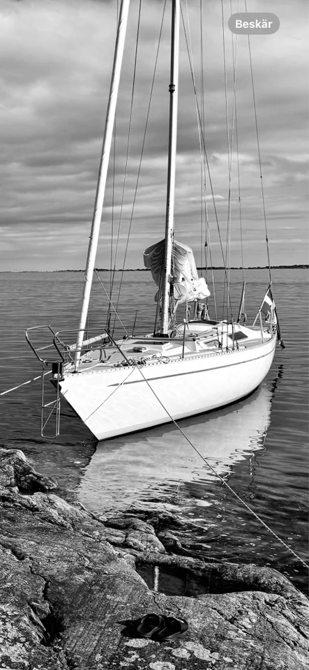 Lady Helmsman mk II image