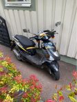 PGO 2005