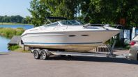 SeaRay CC 260 -89