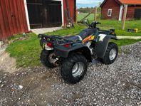 Arctic cat 454