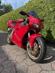 Ducati 916