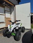Mini ATV X-Pro Speedbug 1000W - utan batteri