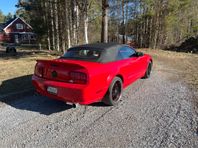 Ford Mustang GT v8 Cab
