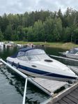 Stingray 195 CS