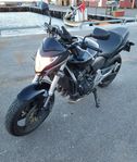 Honda CB600F Hornet