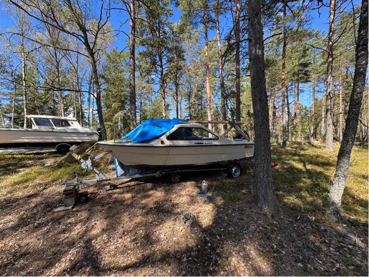 Ryds Hajen 70hk Evinrude