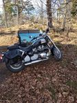 Triumph america 2004
