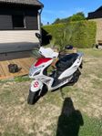 Viarelli Rivetto Moped - 2017