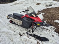 Renegade 600 Ace -11