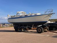 Malö 40