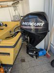 Mercury EFI 25hp, Mercury shifter el start & hydraulic rack