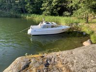 Bella Falcon 26