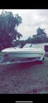 Glastron 195SX
