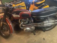 Triumph 