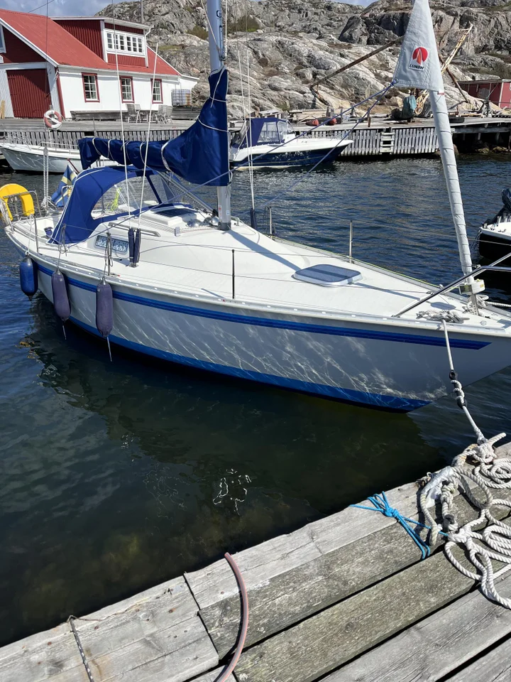 Albin 78 Cirrus image