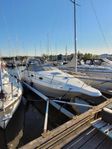 SeaRay 250