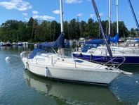 Scampi 30 Uthyres fint skick