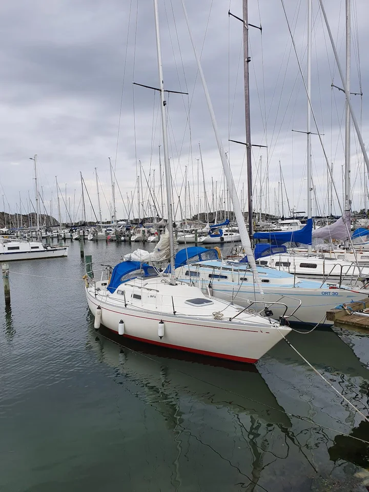 Albin Accent 26 image