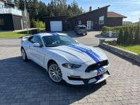 Ford Mustang GT 5.0
