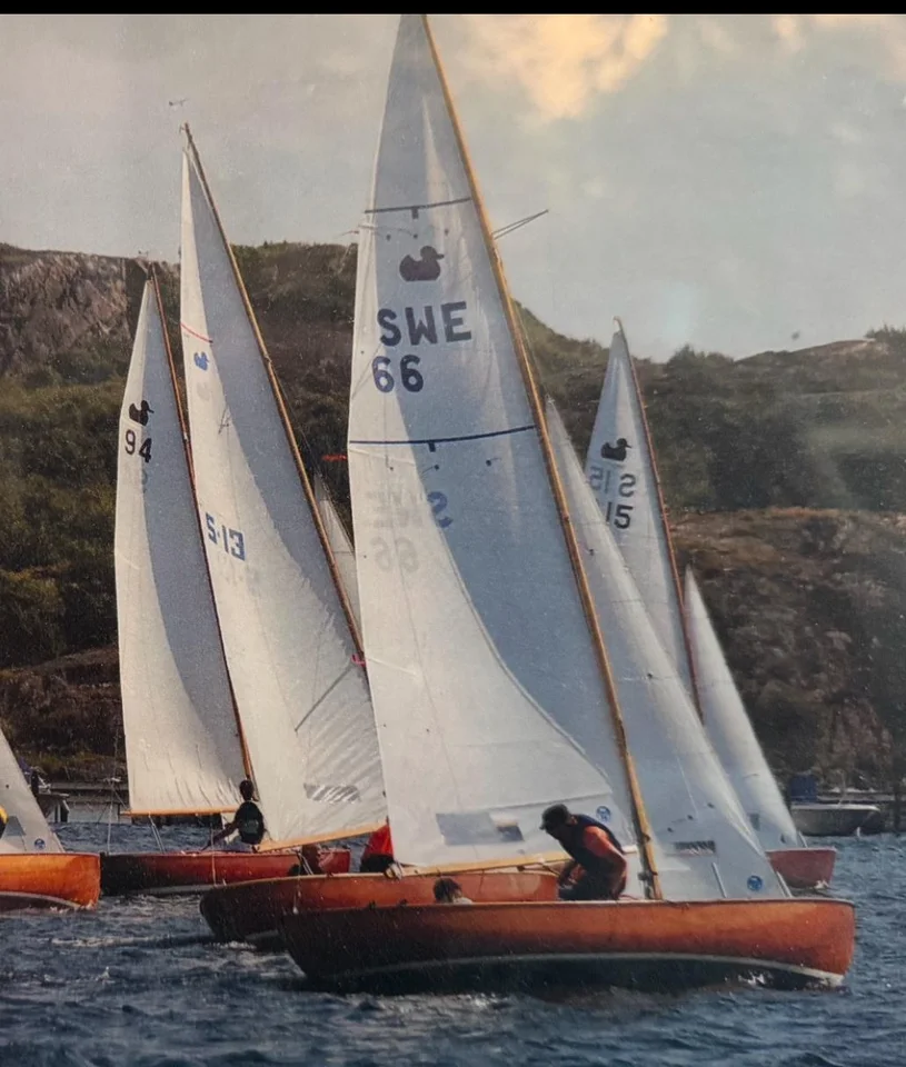 Andunge S 66 image