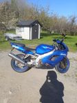 Kawasaki zx900r